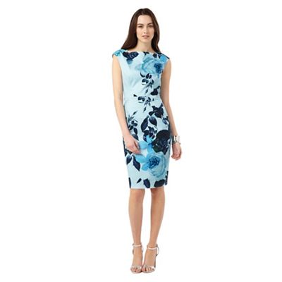 Phase eight hot sale audrina dress